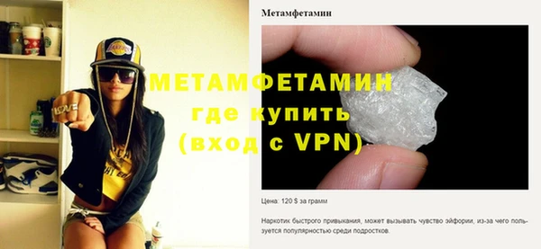 прущие грибы Нея