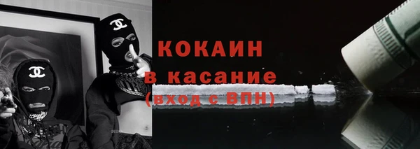 прущие грибы Нея
