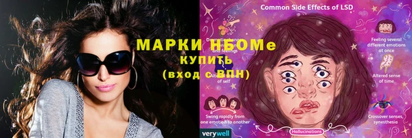 прущие грибы Нея