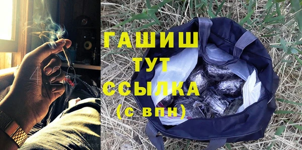 прущие грибы Нея