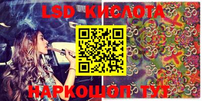 прущие крисы Камышлов