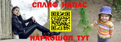 прущие крисы Камышлов