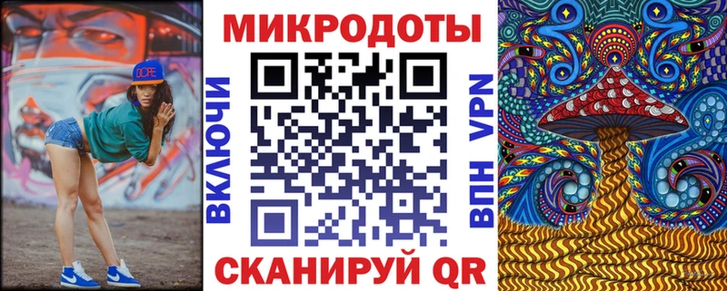 Галлюциногенные грибы Psilocybe Надым
