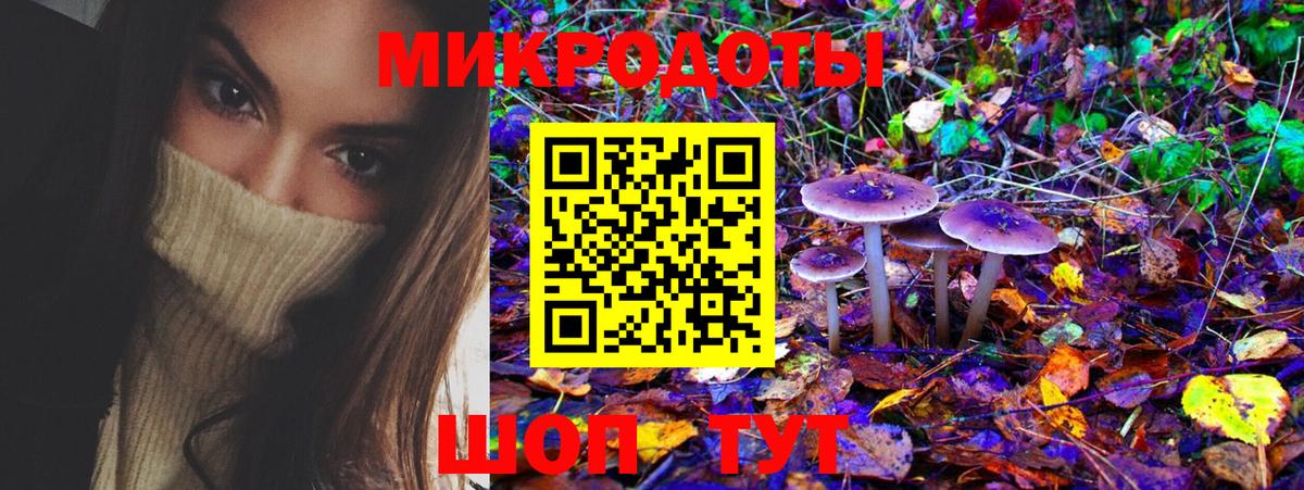 Галлюциногенные грибы мухоморы Надым